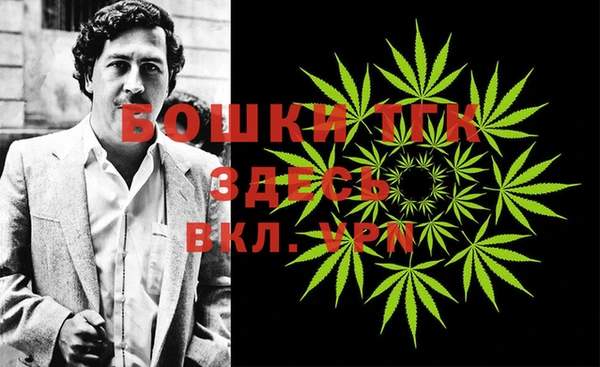 ешки Осинники