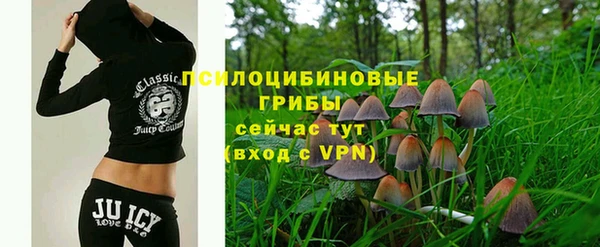 ешки Осинники