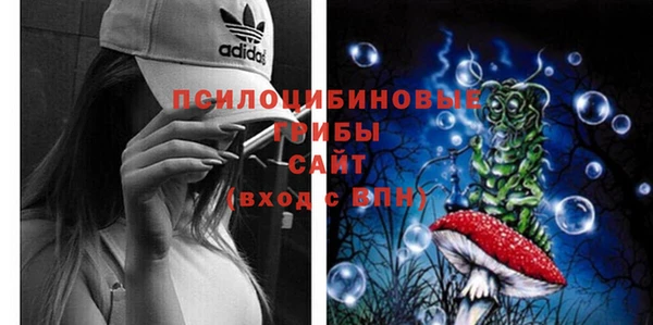 ешки Осинники
