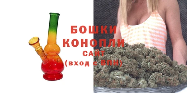 ешки Осинники