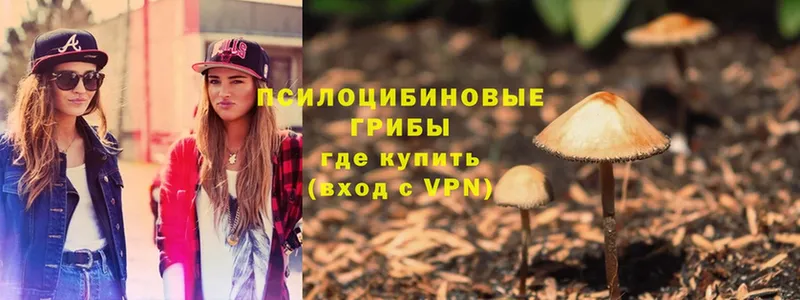 купить наркотики цена  Советский  Псилоцибиновые грибы Cubensis 