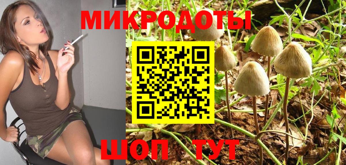 Советский  Псилоцибиновые грибы прущие грибы  Вход с VPN  Галлюциногенные грибы прущие грибы 