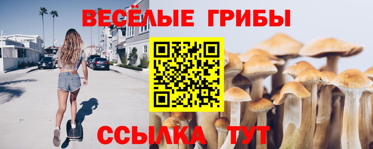 Псилоцибиновые грибы GOLDEN TEACHER Советский